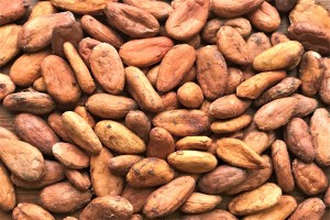 Cocoa Beans from Nigeria